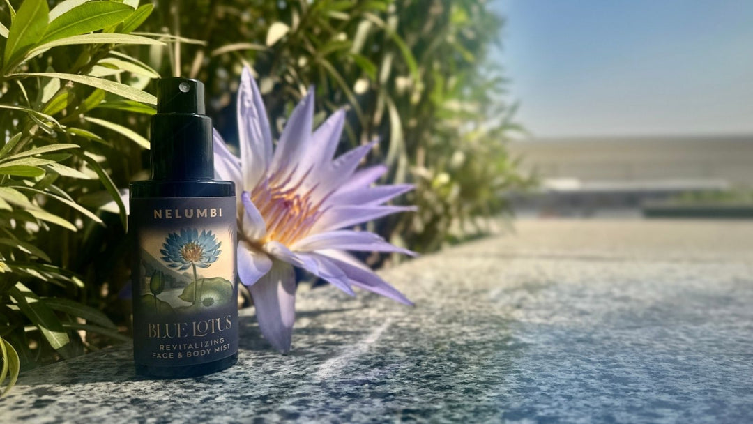 What Is Blue Lotus Oil? Uses, Benefits & More | NELUMBI