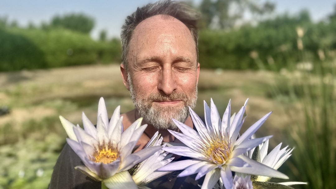 The Blue Lotus Frequency