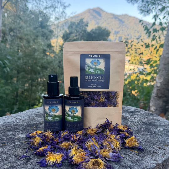 Blue Lotus Practitioner Set - NELUMBI