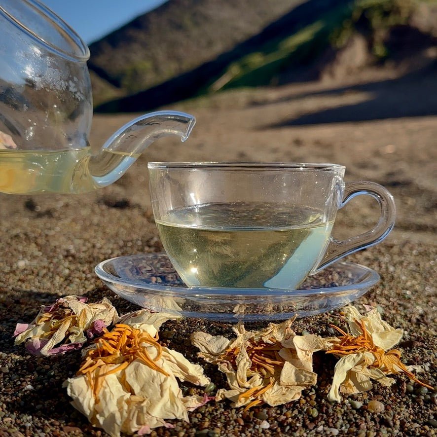 White Lotus Flower - NELUMBI