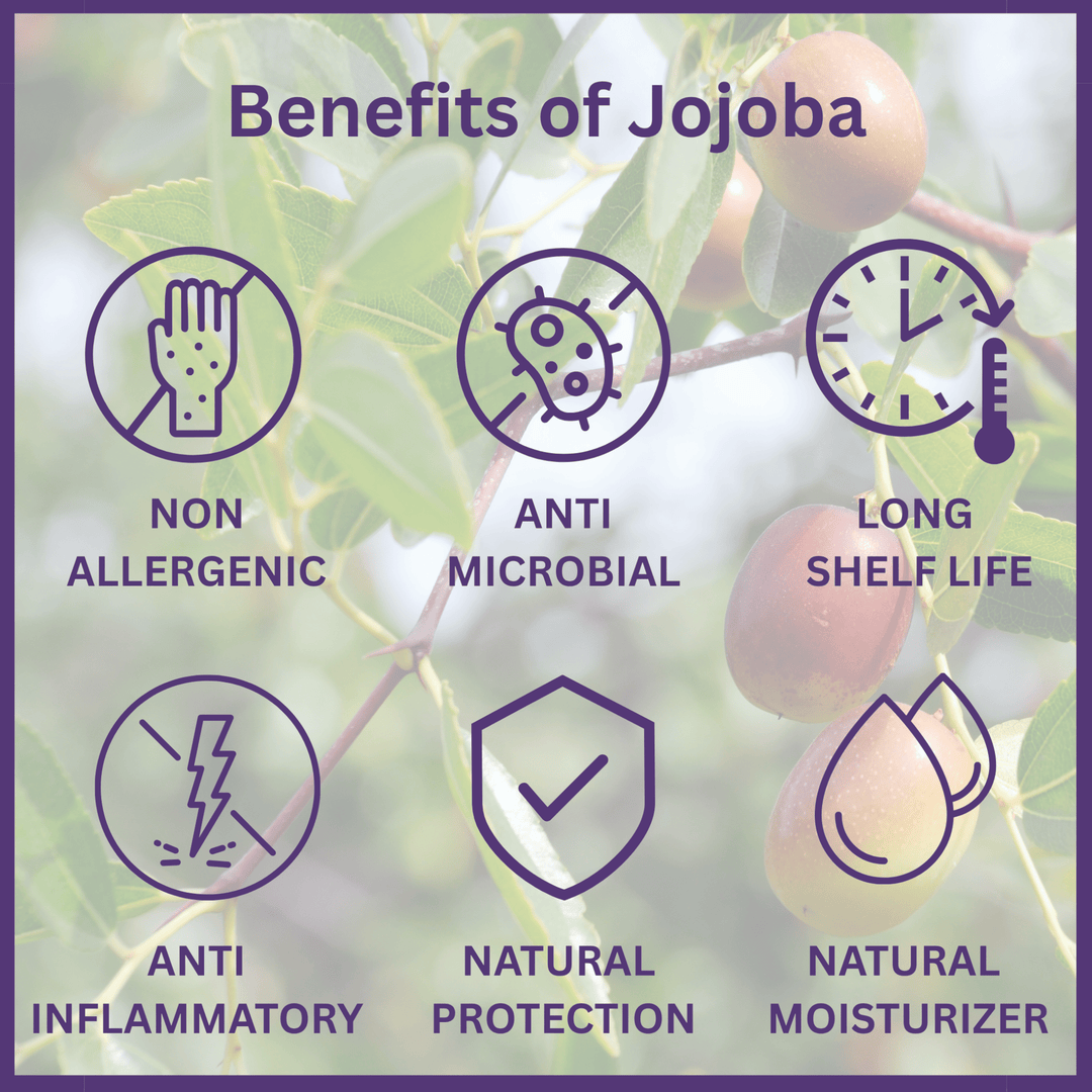 Benefits of jojoba infographic: antimicrobial, long shelf life, soothing, natural protection, natural moisturizer