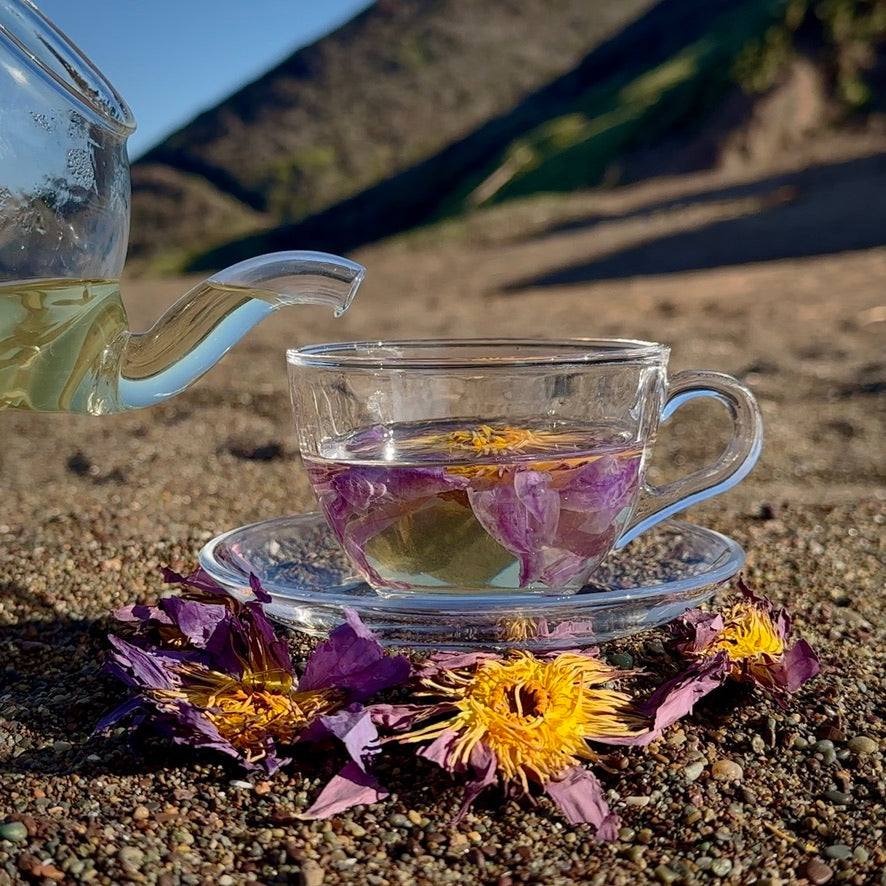 Nelumbi Blue Lotus Flower poured into teacup