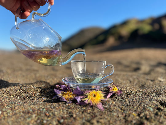 Nelumbi Blue Lotus Flower tea time